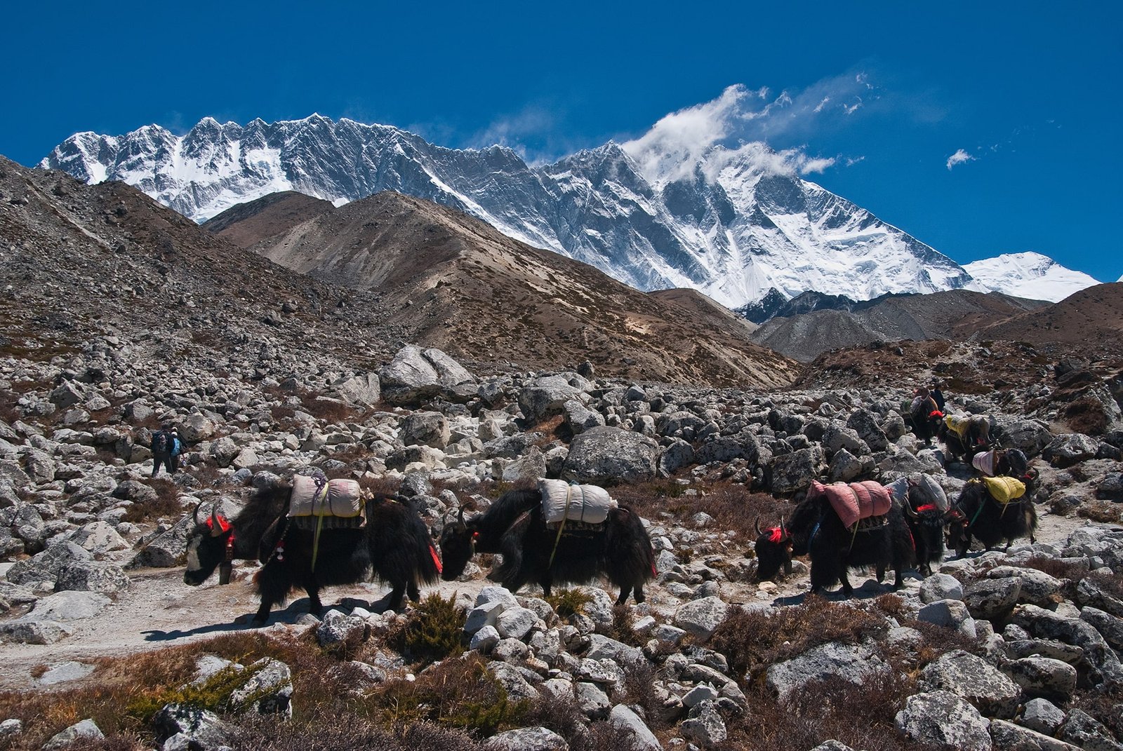  Trek from Tengboche (3,860 m) to Dingboche (4,410 m)